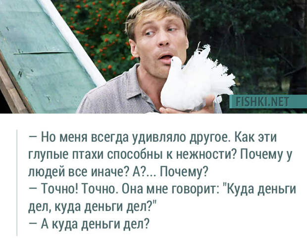 20 незабываемых цитат из фильма "Любовь и голуби" 20 незабываемых цитат из фильма "Любовь и голуби" Любовь и голуби, кино, цитаты