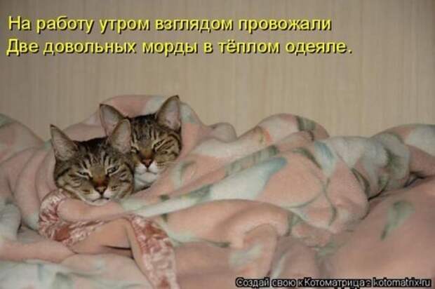 d856faad675c0c7e947a236b4fc_prev
