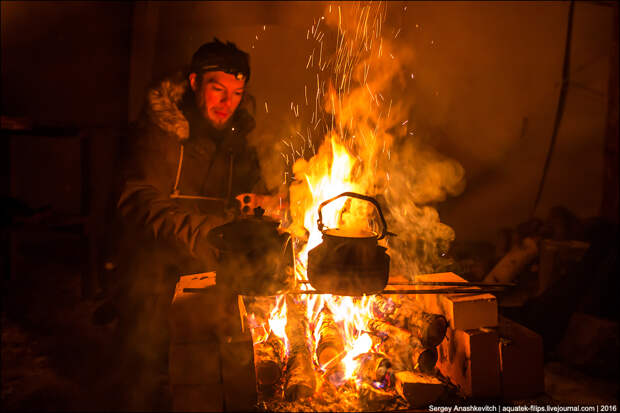 На собачьих упряжках