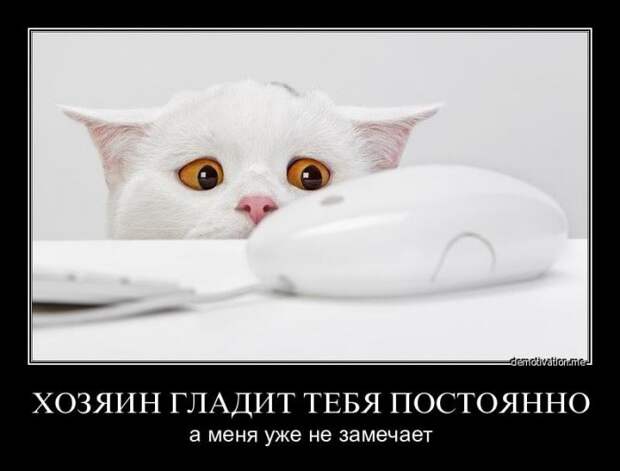 Демотиваторы для поднятия настроения!