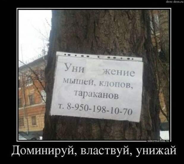 Доминируй, властвуй, унижай!