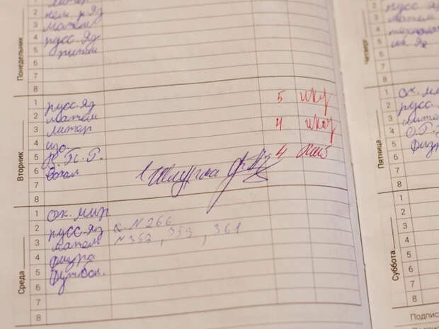 Кафе в Челябинске бесплатно кормит школьников шаурмой за пятерки в дневнике Учеба, Стимул, Шаурма, Длиннопост