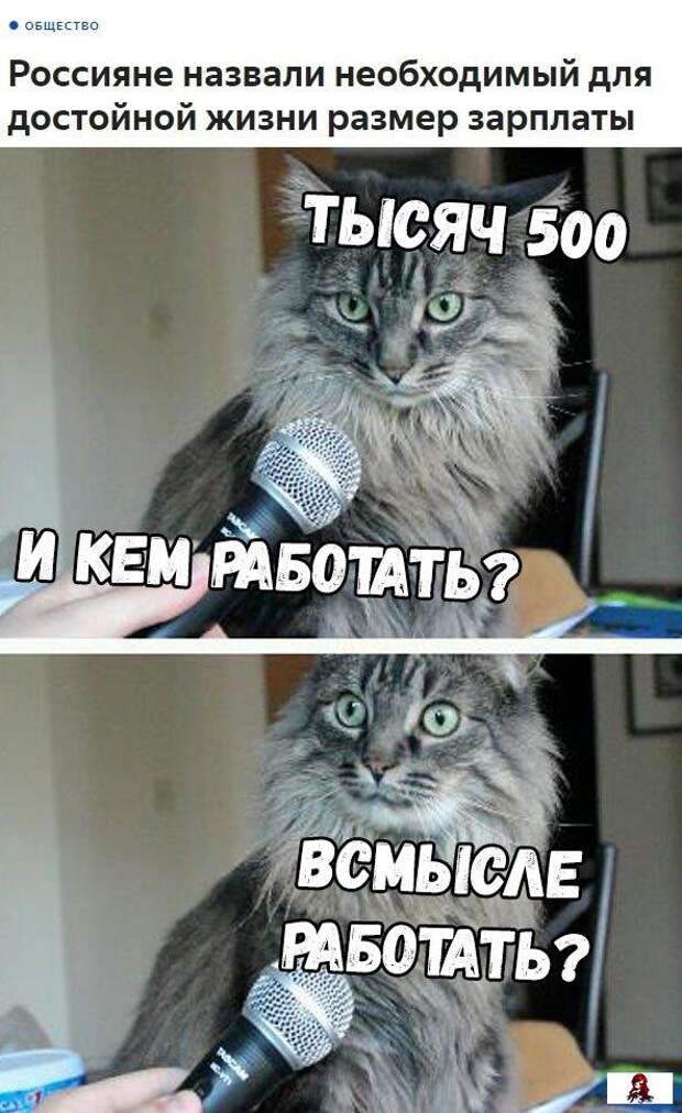 www.vsyako.net