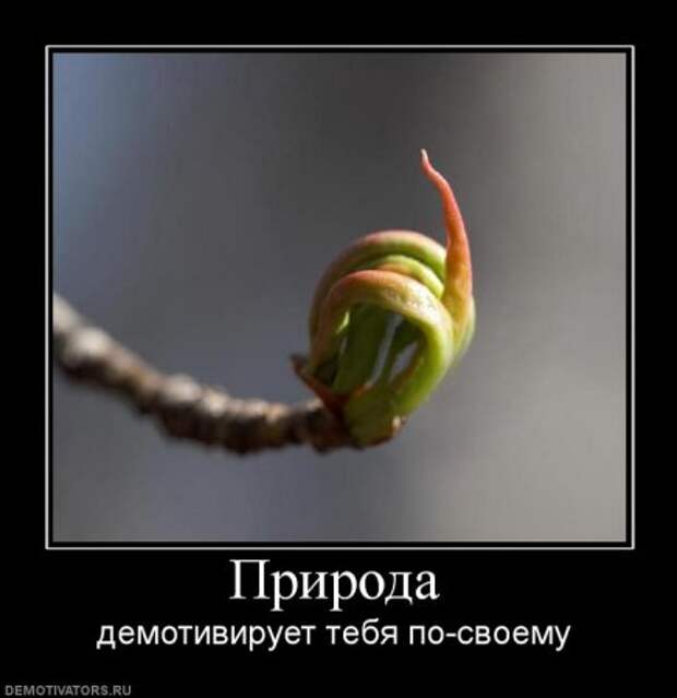 Разные смешные демотиваторы, новые приколы на фото.