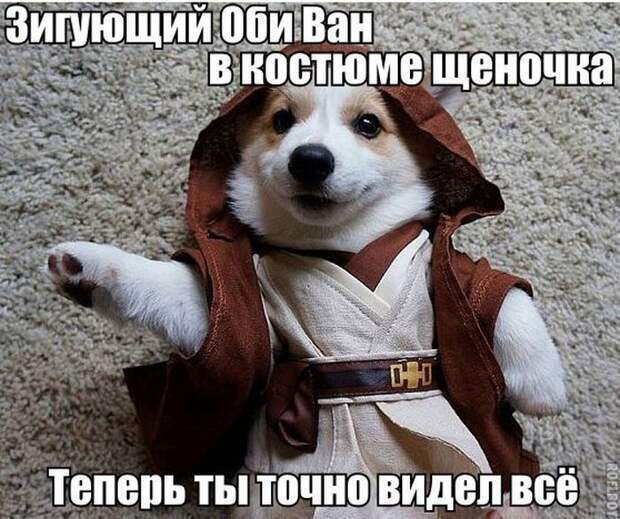 Смешные картинки с подписями катинки, прикол, юмор