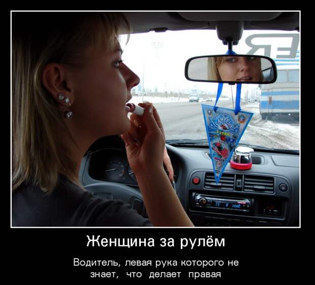 Демотиваторы демотиваторы, животные, прикол, юмор