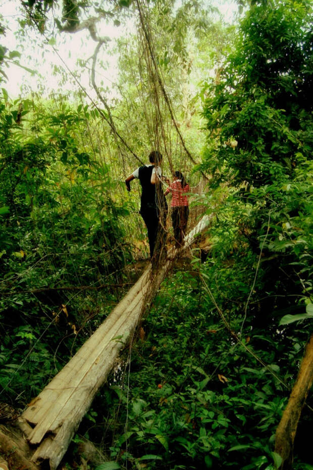 Подвесные мосты не для слабонервных Insane Hanging Bridges 2 Подвесные мосты не для слабонервных