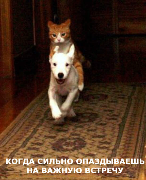 4032767_original (450x554, 240Kb)