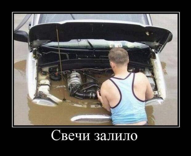 Демотиваторы демотиваторы, прикол, смех, юмор