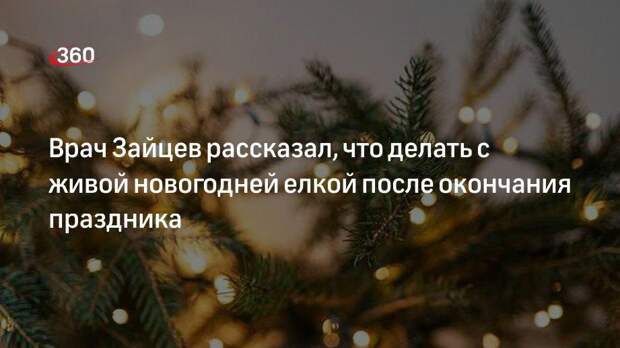 Врач Зайцев рассказал, что делать с живой новогодней елкой после окончания праздника