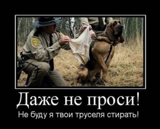 Ржачная порция демок