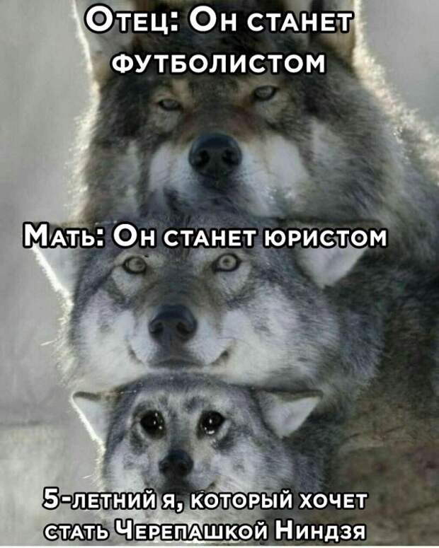 Намешалось