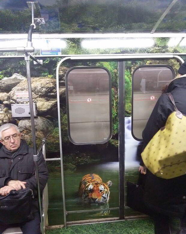 Основная тематика отдана диким "кисам" дизайн, метро