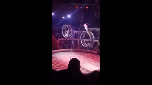 Video: video (6).mp4