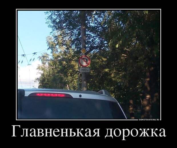 Главненькая дорожка демотиватор, юмор