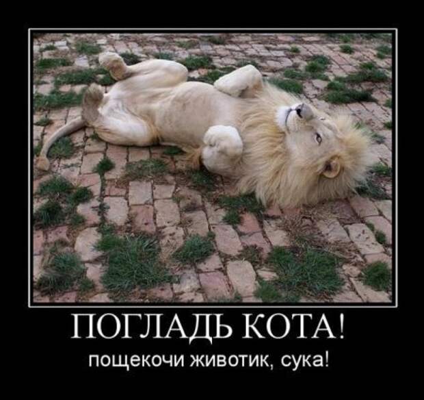 Демотиваторсы с приколом.