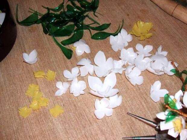 b2ap3_thumbnail_DSCF3759-11.jpg b2ap3_thumbnail_DSCF3759-11.jpg