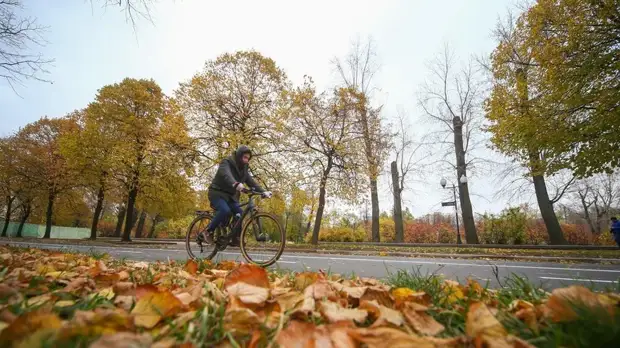 В Москве 14 ноября ожидается до +3 °С
