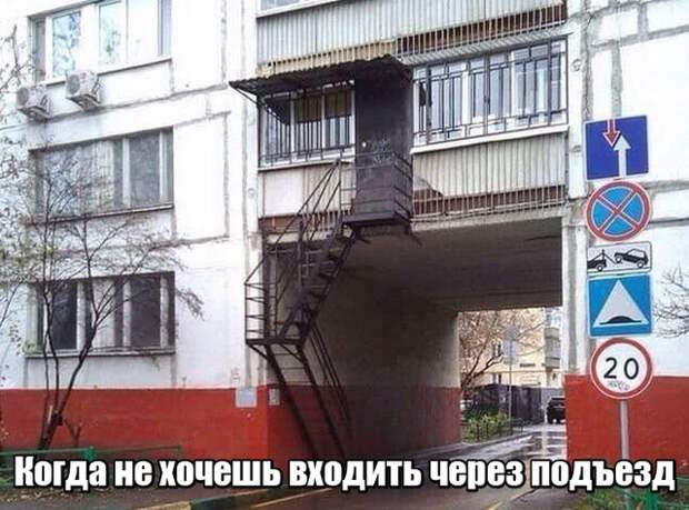 Подборка картинок. Вечерний выпуск (23 фото)