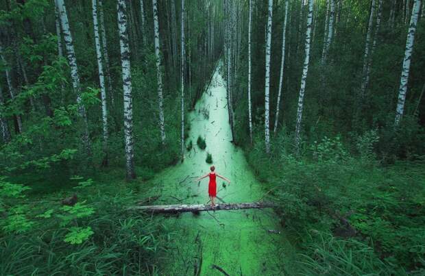 25. «Волшебный» лес в России. наш мир, удивительные фотографии