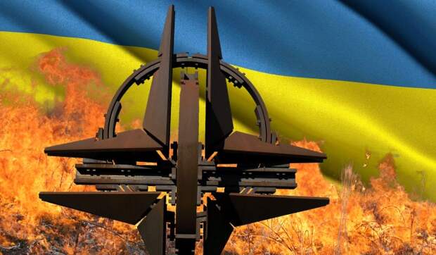Украину решили принять в НАТО