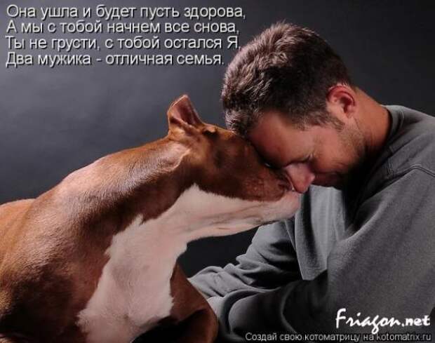 Котоматрица про Любовь