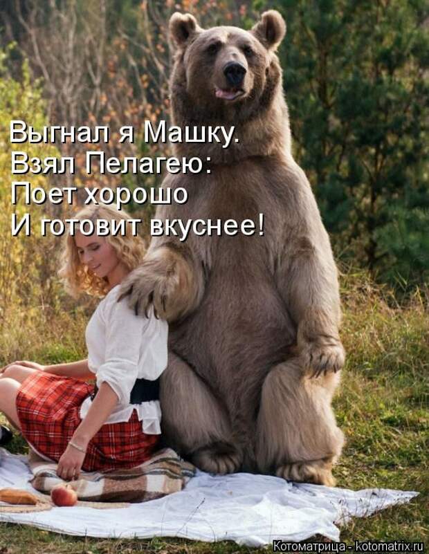 Лучшие котоматрицы недели (50 фото)