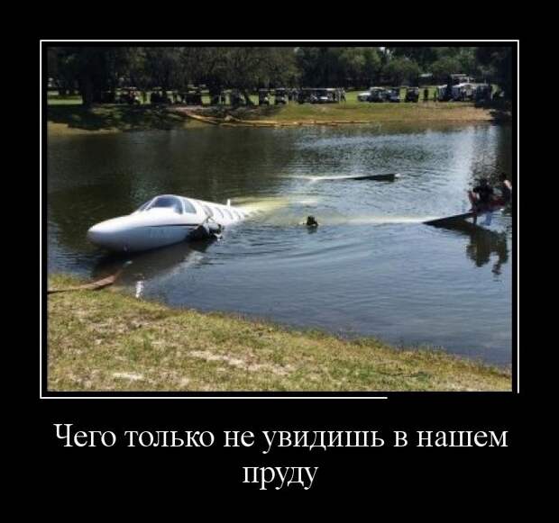 Демотиваторы (30 фото)