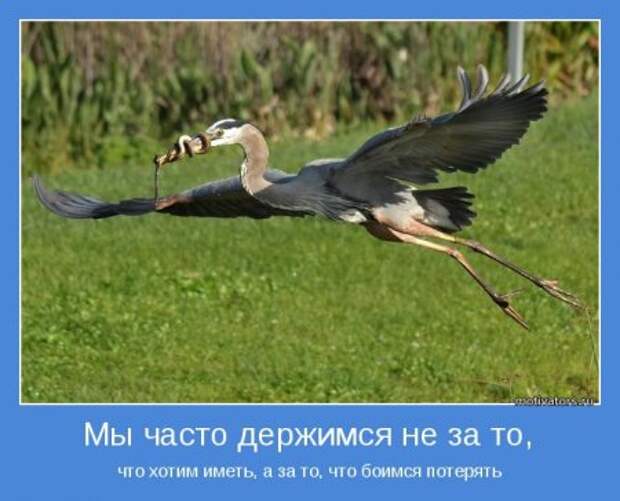 Мотиваторы. Побеждай и будешь лучшим!