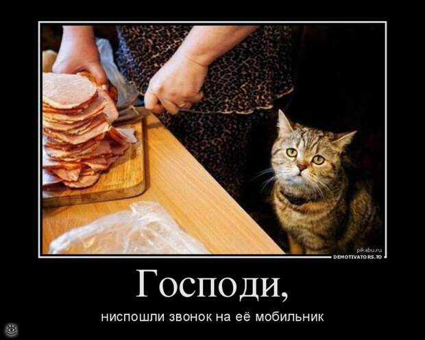 Не жадничай! 30