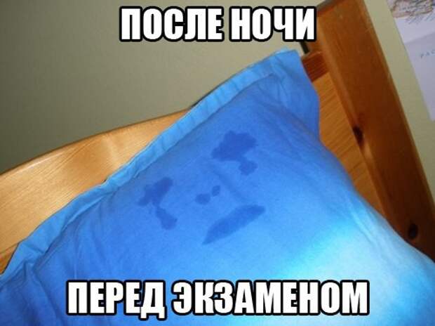 Фотоподборка среда 22.04.15 девушки, коты, юмор