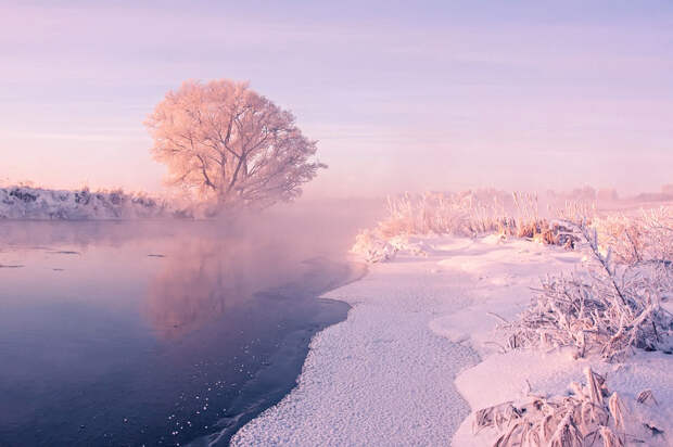 Foggy winter sunrise