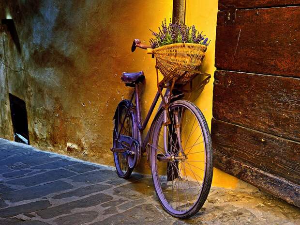 Цветочный велосипед в в Тоскане