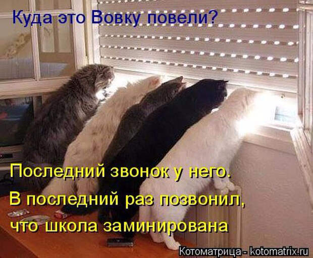1433454542_28 (700x579, 385Kb)