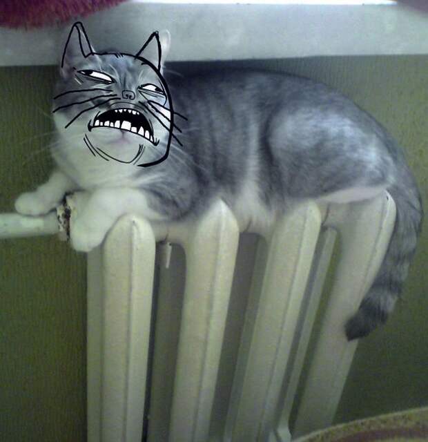 Немного прикольных фото