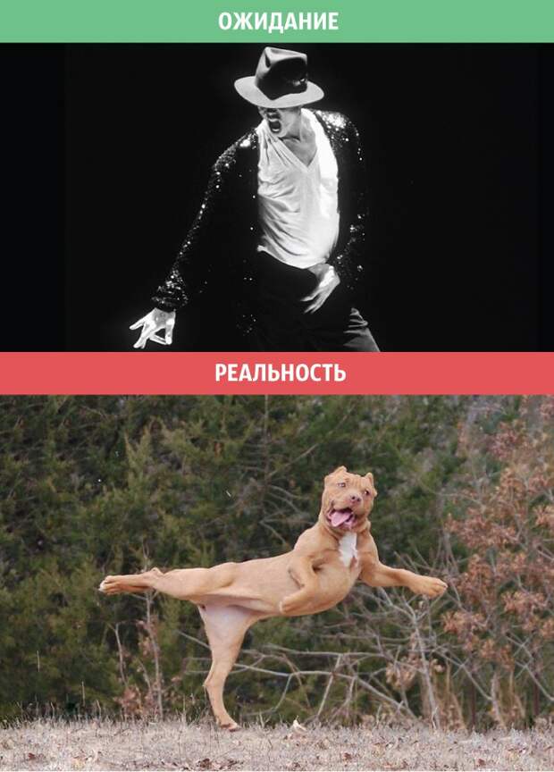 мужчина - ожидания и реальность