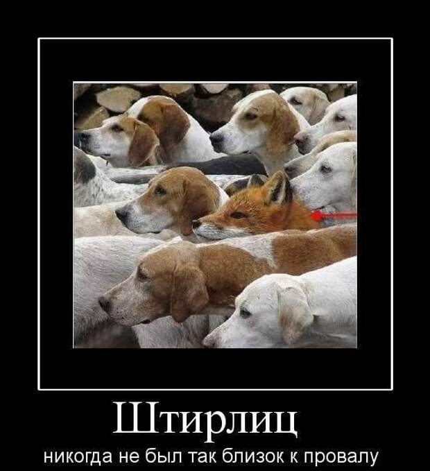 Демотиваторы (30 фото)