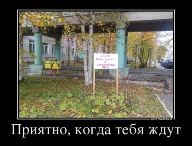 Демотиваторы-приколы для хорошего настроения (14 шт)