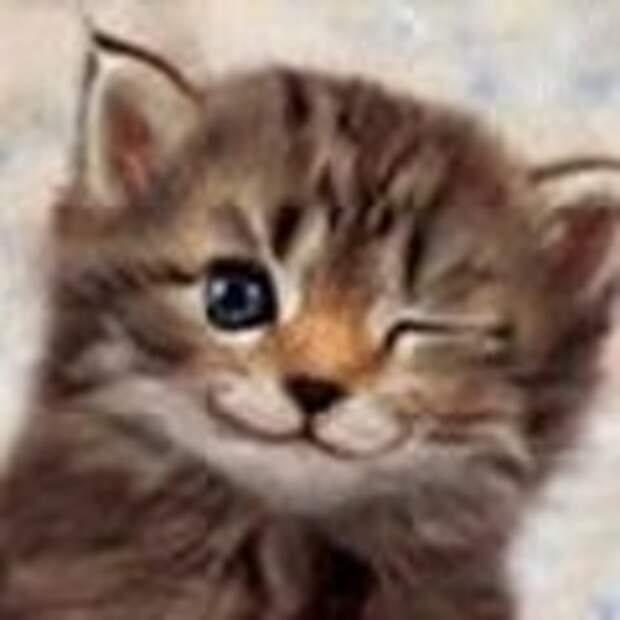 Тина 