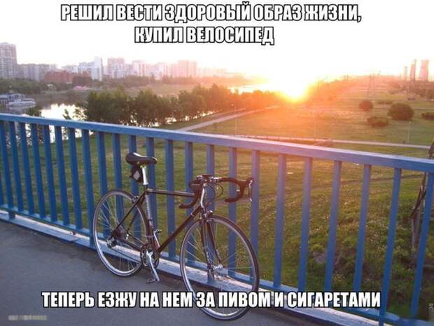 Смешные картинки с подписями катинки, прикол, юмор