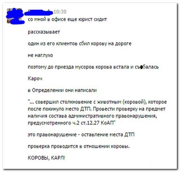 Комментарии из соцсетей