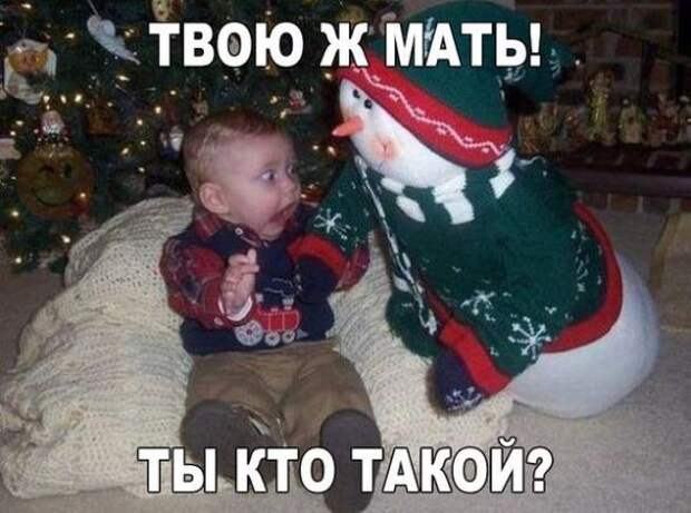 Картинки, юмор, приколы
