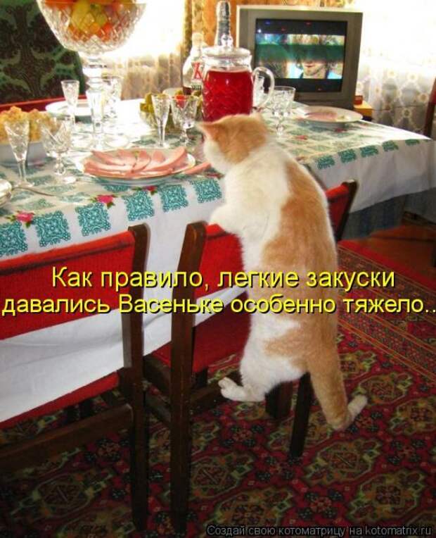 Котоматрицы (картинки с надписями)