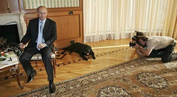 Президент России и его собаки  новый год, президент, семья