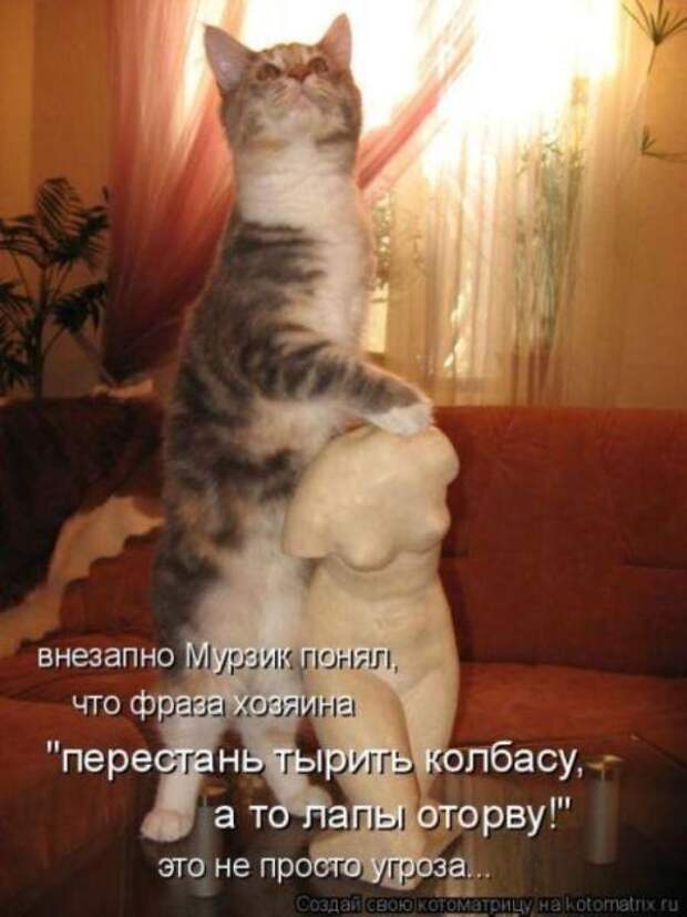 Котоматрица Котоматрица