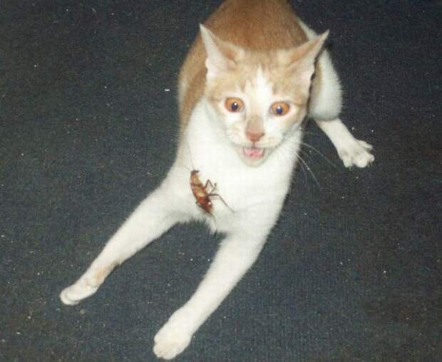 Давайте улыбаться вместе! :)