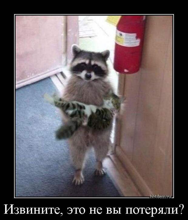 Демотиваторы демотиваторы, прикол, смех, юмор