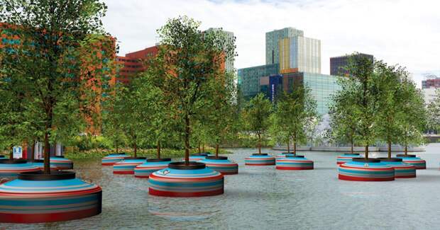 В этом году в Роттердаме появятся 20 плавающих деревьев Роттердам, идея, лес