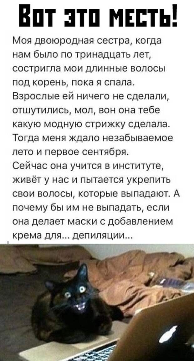 Вечерние приколы Вечерние приколы