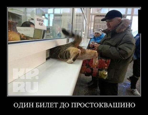 Демотиваторы  демотиваторы, прикол, смех, юмор